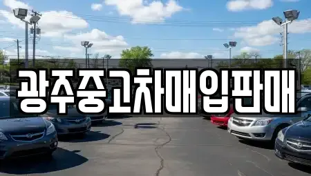 광주 남구 구동 중고차매입 전문 광주중고차매입판매