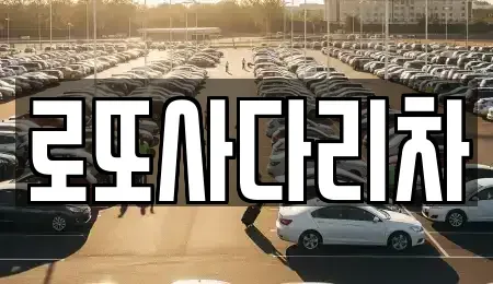 광주 남구 행암동 중고차매입 전문 로또사다리차