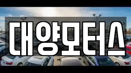 광주 동구 충장로1가 중고차매매 전문 대양모터스