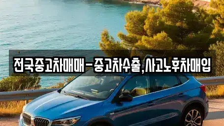 광주 동구 충장로1가 단기렌트카,중고차매입,중고차매매,중고차,렌트카,장기렌트카