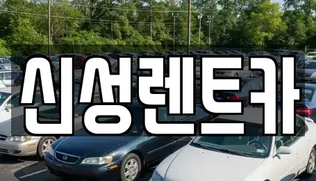 광주 북구 각화동 렌트카 전문 신성렌트카