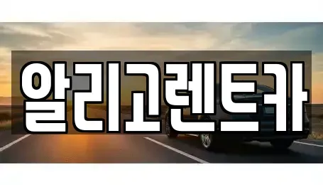 광주 북구 단기렌트카 전문 알리고렌트카