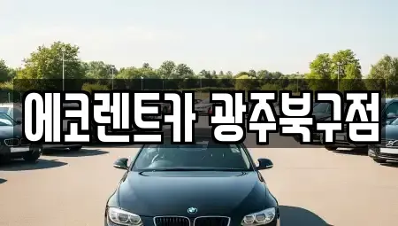 광주 북구 오치동 장기렌트카 전문 에코렌트카 광주북구점