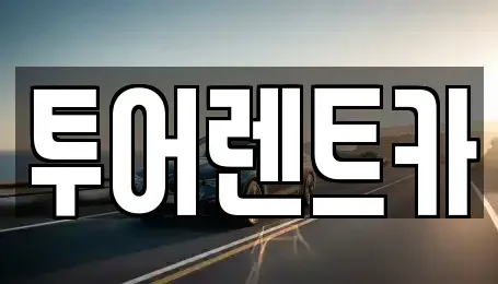 광주 북구 오치동 장기렌트카 전문 투어렌트카