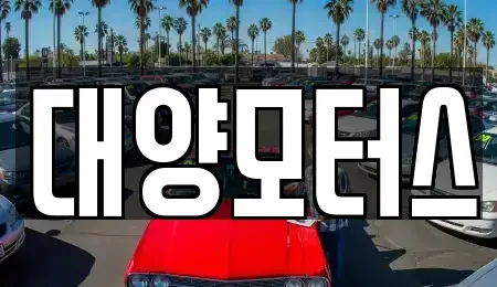 광주 서구 용두동 중고차 전문 대양모터스
