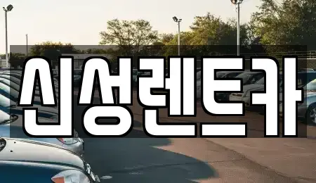 광주광역시 남구 덕남동 렌트카 전문 신성렌트카