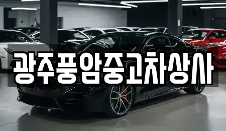 광주광역시 남구 덕남동 중고차매매 전문 광주풍암중고차상사