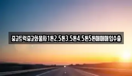 광주광역시 남구 도금동 중고차 전문 중고트럭중고화물차1톤2.5톤3.5톤4.5톤5톤매매매입수출