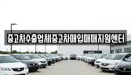 광주광역시 동구 용산동 중고차매입 전문 중고차수출업체중고차매입매매지원센터