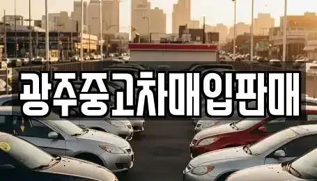광주광역시 동구 장동 중고차매입 전문 광주중고차매입판매