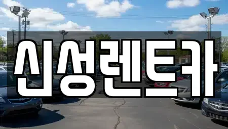 광주광역시 북구 신용동 렌트카 전문 신성렌트카
