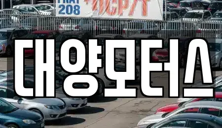 광주광역시 북구 신용동 중고차 전문 대양모터스