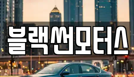 광주광역시 북구 신용동 중고차매매 전문 블랙썬모터스