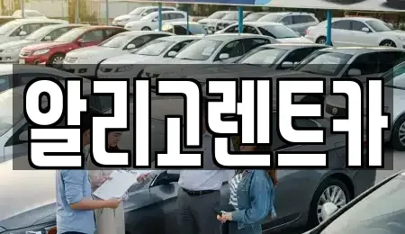 광주광역시 서구 벽진동 장기렌트카,중고차,렌트카,단기렌트카,중고차매입,중고차매매