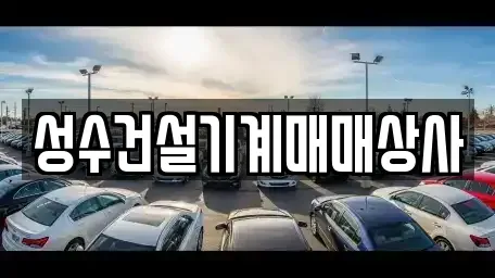 광주광역시 서구 벽진동 중고차 전문 성수건설기계매매상사
