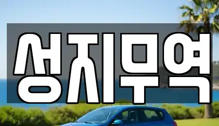 광주광역시 서구 벽진동 중고차 전문 성지무역