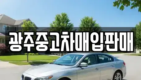 광주광역시 서구 벽진동 중고차매입 전문 광주중고차매입판매