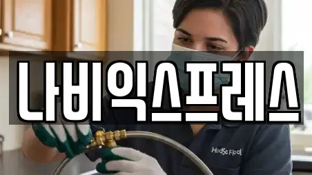 나비익스프레스