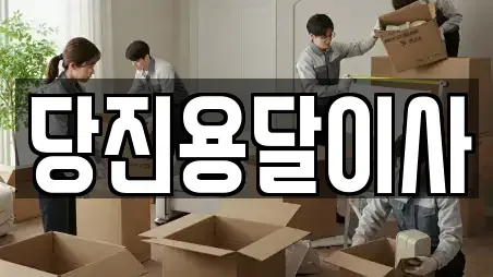 당진용달이사