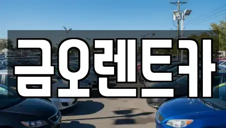 대구 달서구 호림동 렌트카 전문 금오렌트카