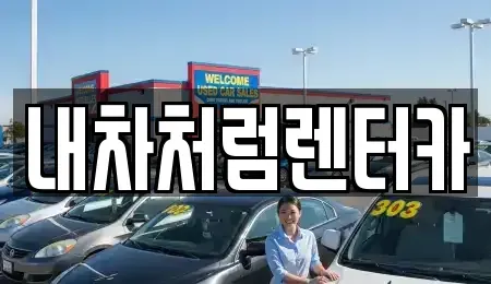 대구 달서구 호림동 렌트카 전문 내차처럼렌터카