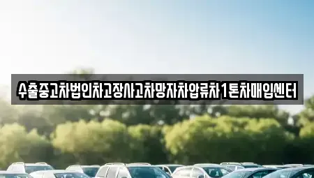 대구 달서구 호림동 중고차매입 전문 수출중고차법인차고장사고차망자차압류차1톤차매입센터