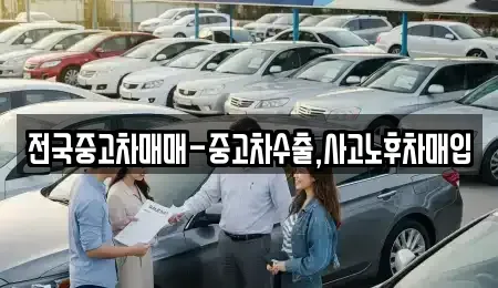 대구 달서구 호림동 중고차매입 전문 전국중고차매매-중고차수출,사고노후차매입