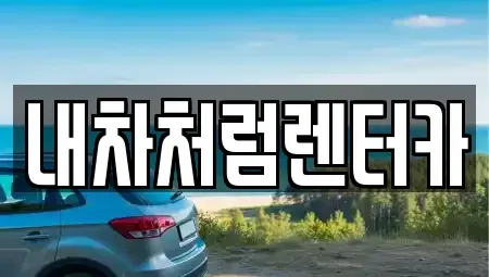 대구 동구 괴전동 렌트카 전문 내차처럼렌터카
