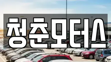 대구 동구 괴전동 중고차 전문 청춘모터스