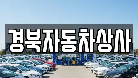 대구 동구 백안동 중고차매매 전문 경북자동차상사