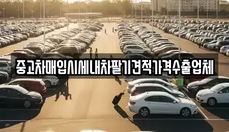 대구 동구 백안동 단기렌트카,중고차매입,중고차매매,중고차,렌트카,장기렌트카