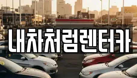 대구 동구 용계동 렌트카 전문 내차처럼렌터카