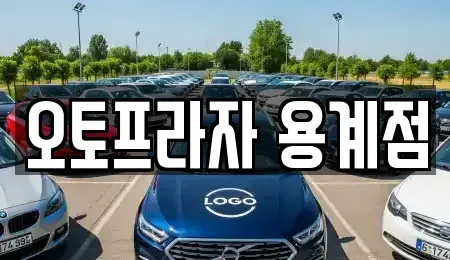 대구 동구 용계동 중고차매매 전문 오토프라자 용계점
