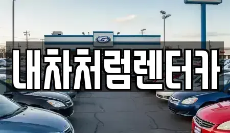 대구 동구 용수동 렌트카 전문 내차처럼렌터카