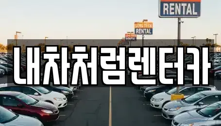 대구 북구 관음동 렌트카 전문 내차처럼렌터카