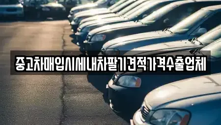 대구 북구 관음동 중고차매입 전문 중고차매입시세내차팔기견적가격수출업체