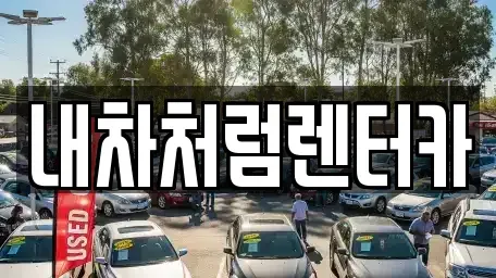 대구 북구 동천동 렌트카 전문 내차처럼렌터카