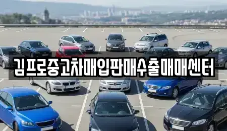 대구 수성구 만촌동 중고차매입 전문 김프로중고차매입판매수출매매센터