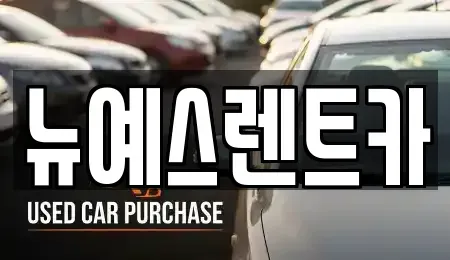 대구 수성구 시지동 렌트카 전문 뉴예스렌트카