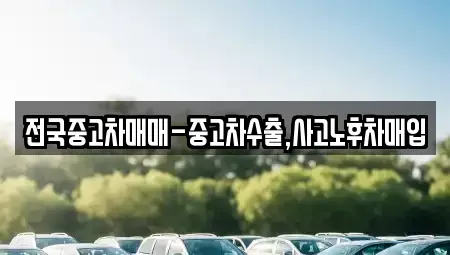 대구 수성구 시지동 중고차매매 전문 전국중고차매매-중고차수출,사고노후차매입