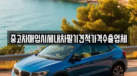 대구 수성구 시지동 중고차매입 전문 중고차매입시세내차팔기견적가격수출업체