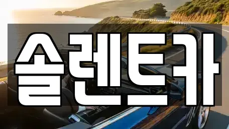 대구 중구 동인동4가 장기렌트카 전문 솔렌트카