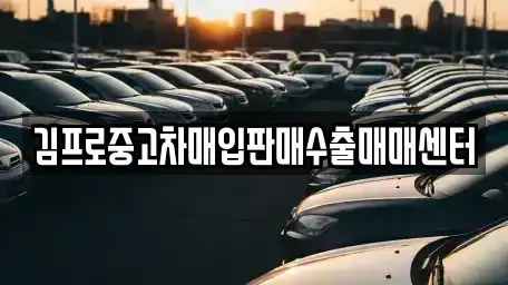 대구 중구 동인동4가 중고차 전문 김프로중고차매입판매수출매매센터