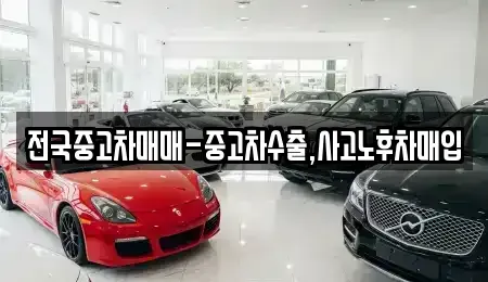 대구 중구 동인동4가 중고차 전문 전국중고차매매-중고차수출,사고노후차매입