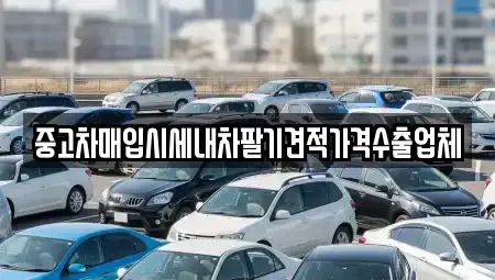 대구 중구 동인동4가 중고차매입 전문 중고차매입시세내차팔기견적가격수출업체
