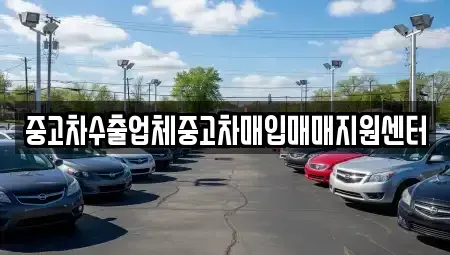 대구 중구 동인동4가 중고차매입 전문 중고차수출업체중고차매입매매지원센터