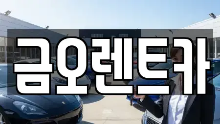 대구 중구 태평로2가 단기렌트카,중고차매입,중고차매매,중고차,렌트카,장기렌트카