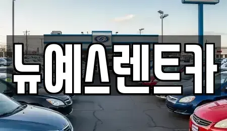대구 중구 태평로2가 렌트카 전문 뉴예스렌트카
