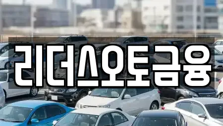 대구 중구 태평로2가 렌트카 전문 리더스오토금융