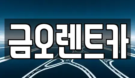 대구 중구 태평로2가 장기렌트카 전문 금오렌트카